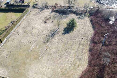 Grundstück (3) - Schönes Grundstück mit viel Potenzial in vorteilhafter Lage in Sanitz