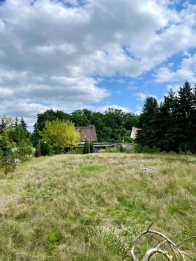 riesiger Garten - 