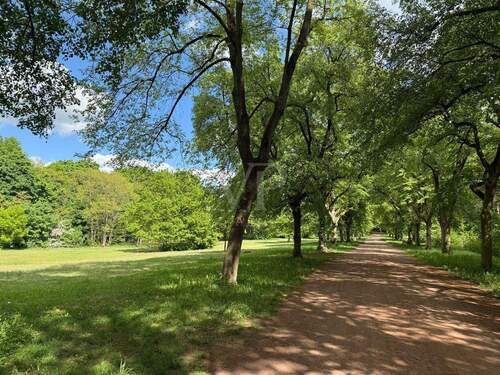 ein Ort zum wohlfühlen - die Schönholzer Heide - 