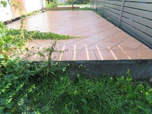 IMG_7589 - Grundstück in Rangsdorf zum Kaufen