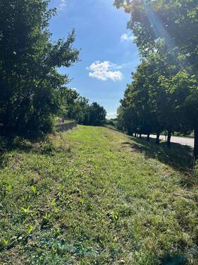 Blick von Westen - 