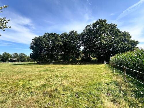 angrenzende Weidefläche - 