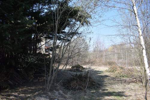 DSC_1380 - Grundstück in Schkeuditz zum Kaufen