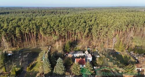 Blick über das Grundstück mit Waldanteil - 2 Zimmer Einfamilienhaus zum Kaufen in Halbe