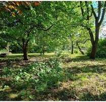 Sonniges Baugrundstück mit Baugenehmigung - sofort und ohne Makler verfügbar - Falkensee