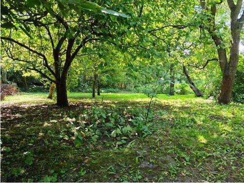 Grüne Oase - Grundstück in Falkensee