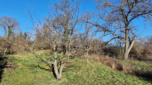 Garten - 6 Zimmer Einfamilienhaus in Ölbronn-Dürrn