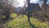 Garten - Sicht Richtung Haus - 