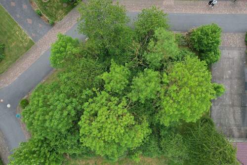 Grundstück - Grundstück zum Kaufen in Derental