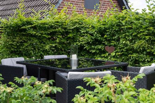 Hausansicht von Osten/Vorgarte - 