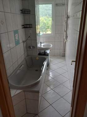 20250731_115411.jpg - 