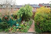 Zugang zum Garten - 