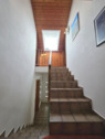 ins DG - 