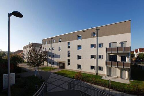 Rückansicht eines mehrstöckigen Wohngebäudes mit Balkonen, umgeben von grünen Rasenfläche und grünen Sträuchern - moderne 2-Zimmer-Wohnung in Raunheim barrierearm
