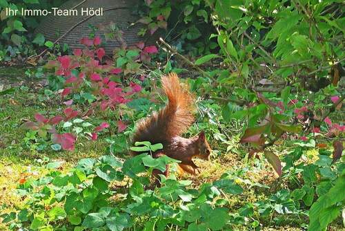 Bild 1 - Tolle Wohnung mit herrlicher Terrasse sucht neue Mieter