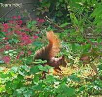 Tolle Wohnung mit herrlicher Terrasse sucht neue Mieter - Stuttgart Bad Cannstatt