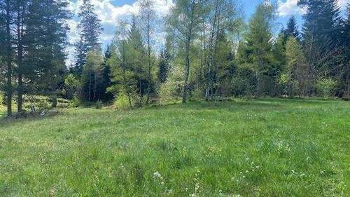 Wiesen - 