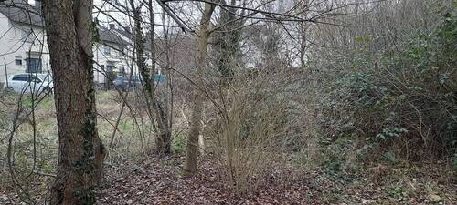 Bild 3 - Grundstück in Erlensee