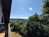 Fernblick - 