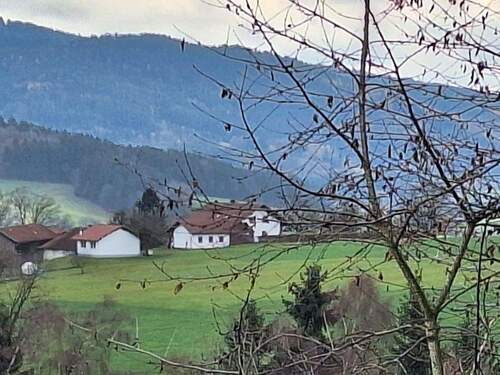 Ausblick - 7 Zimmer Einfamilienhaus in Konzell
