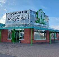 lichtdurchflutete Verkaufsfläche im Fachmarktzentrum Selders in Delitzsch zu vermieten.