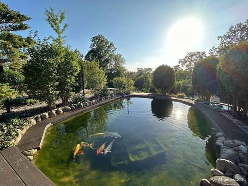 [KI-generiertes Foto] Koiteich mit weitläufigem Blick - 4 Zimmer Einfamilienhaus in Zeuthen