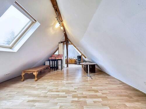 Dachspitz - 