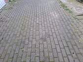 20260317_143056.jpg - 