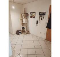 Hier stimmt Preis und Leistung !! - Lich Eberstadt