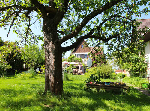 Ansicht vom Garten - 
