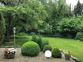 Garten (Sommeraufnahme) - 