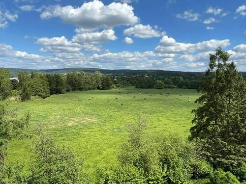 Aussicht Balkon - 2 Zimmer Etagenwohnung in Weiden