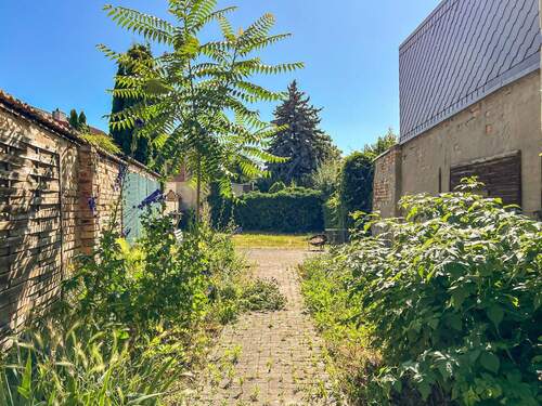 Gemeinschaftsgarten - 