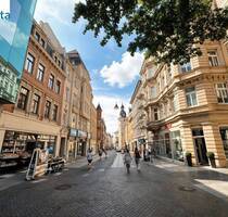 Lage, Lage, Lage - ruhige 3-RW in der Innenstadt von Halle