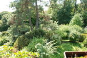 Blick vom Balkon in den Garten - 