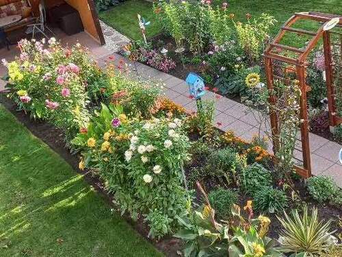 Blumenoase im Sommer - 