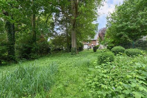 Rückansicht aus dem Garten - 