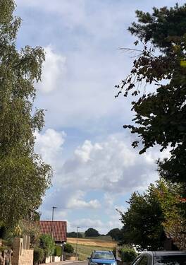 Nähe zum Feld - Grundstück zum Kaufen in Schiersfeld