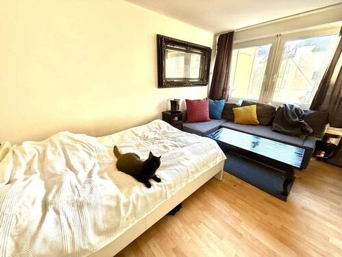 Ihr Wohn- und Schlafbereich - 1 Zimmer Etagenwohnung in München