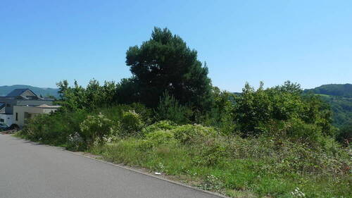 Strassenabschnitt - Grundstück in Saarburg