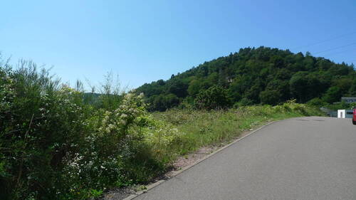 Strassenabschnitt - Grundstück in Saarburg zum Kaufen