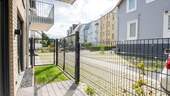 Terrasse - 