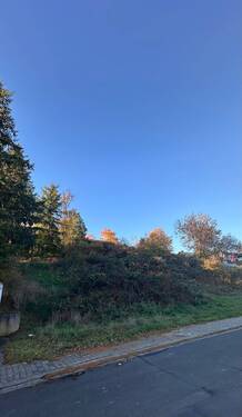 Grundstück - Grundstück zum Kaufen in Schiersfeld