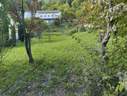 A-Bauplatz, Obstwiese - 