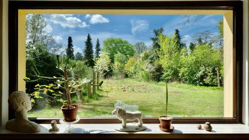 Wohnzimmer Blick in den Garten - 