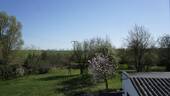 Ausblick - 