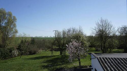 Ausblick - 