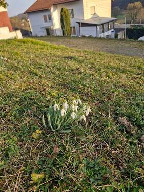 Garten - 