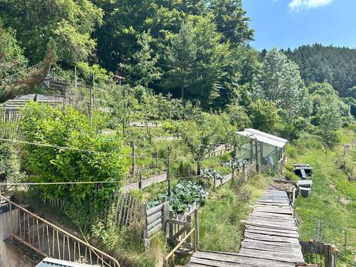 Blick in den terrassierten Garten - 