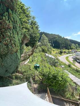 Blick von oben auf den Garten - 